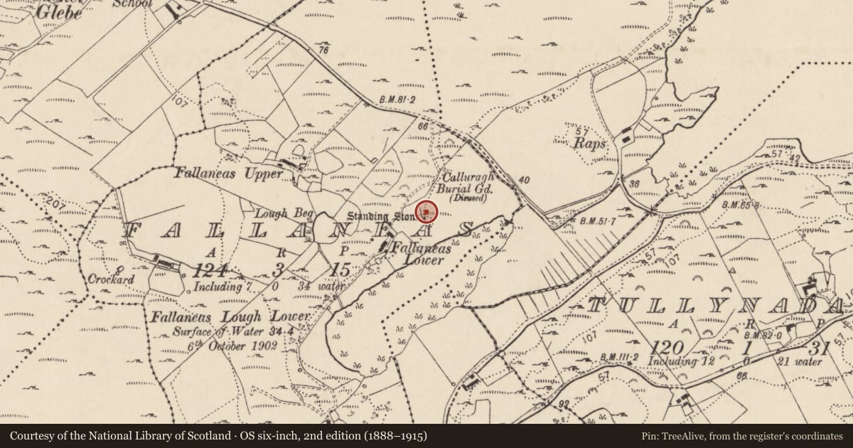 Ordnance Survey six-inch map, 2nd edition (1888–1915) covering the location of Standing stone, Fál Aonaosa, County Donegal, with a pin at the register's coordinates