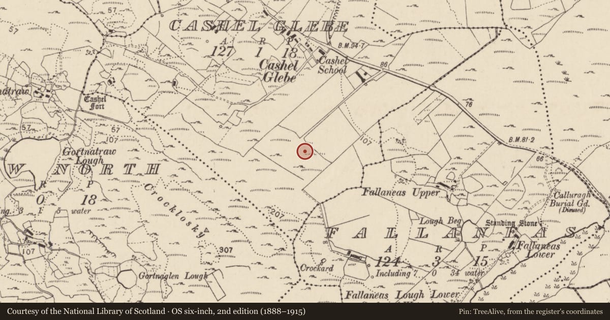 Ordnance Survey six-inch map, 2nd edition (1888–1915) covering the location of Megalithic tomb - unclassified, An Caiseal, County Donegal, with a pin at the register's coordinates