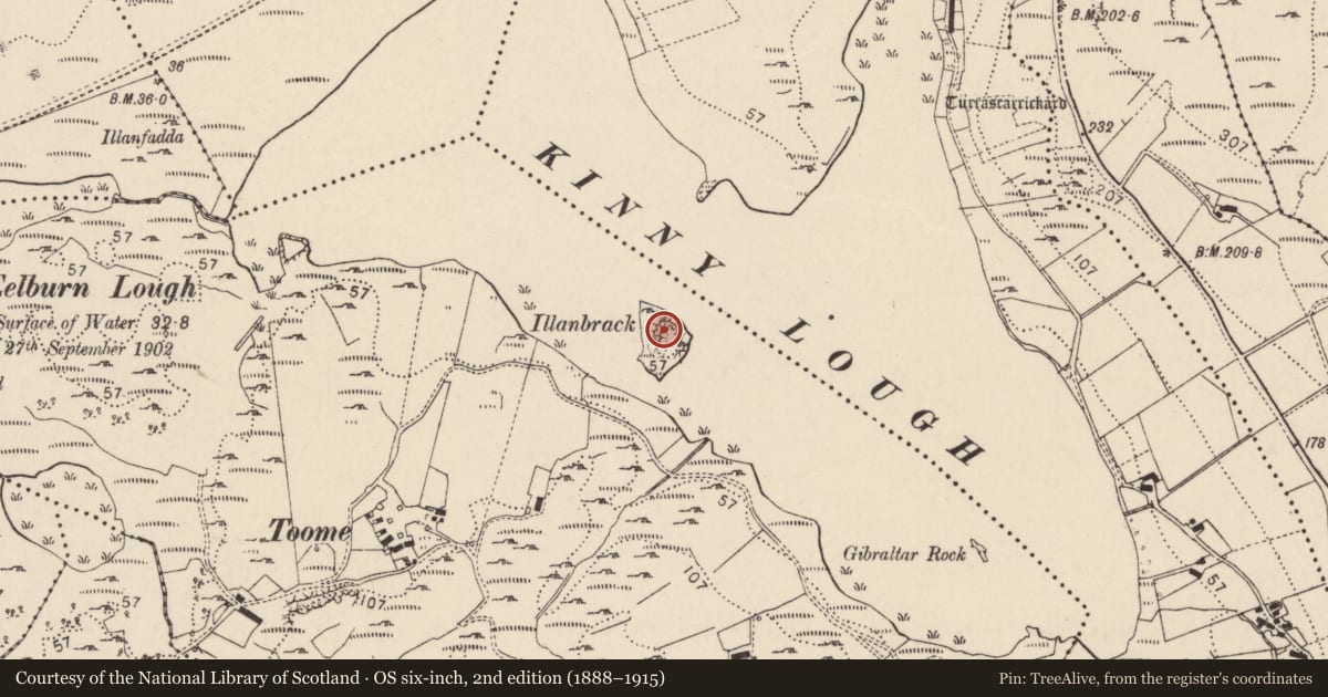 Ordnance Survey six-inch map, 2nd edition (1888–1915) covering the location of Enclosure, Tuaim (TC Fánaid Thuaidh), County Donegal, with a pin at the register's coordinates
