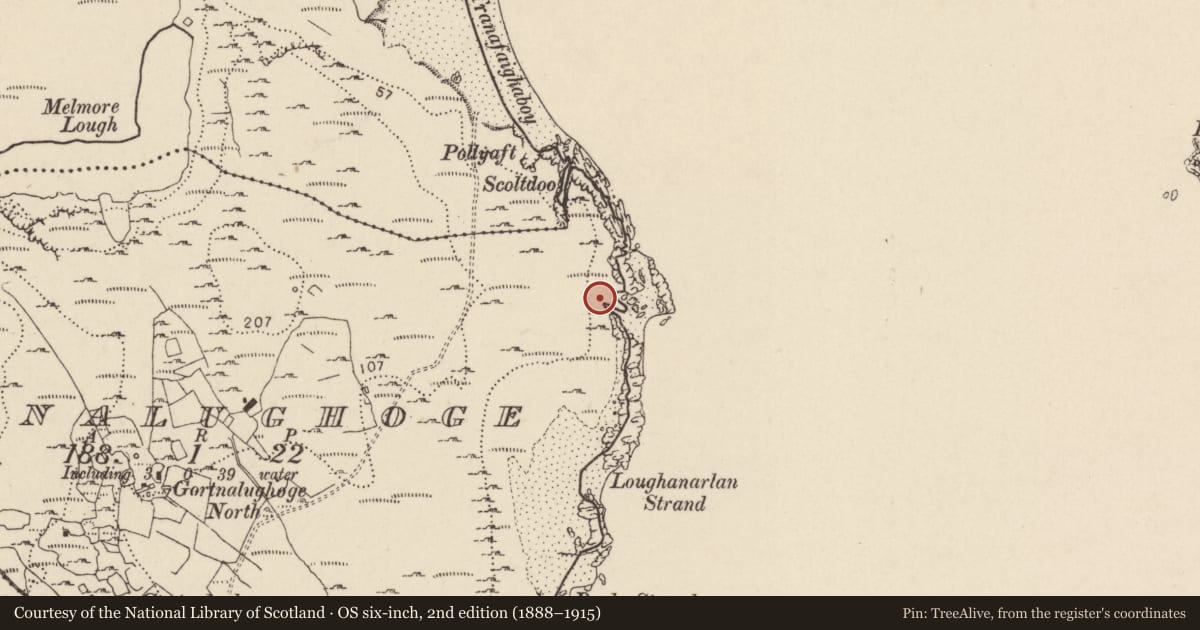 Ordnance Survey six-inch map, 2nd edition (1888–1915) covering the location of Promontory fort - coastal, Gort Na Luchóg, County Donegal, with a pin at the register's coordinates