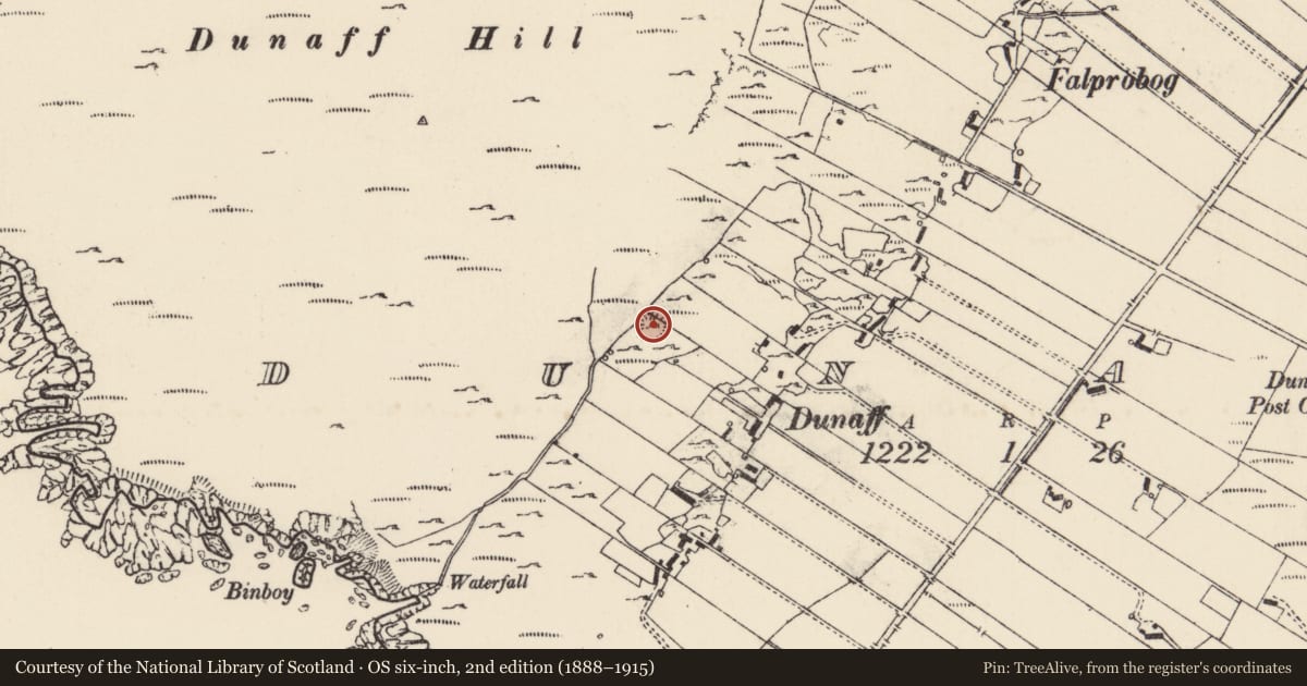 Ordnance Survey six-inch map, 2nd edition (1888–1915) covering the location of Ringfort - rath, Dunaff, County Donegal, with a pin at the register's coordinates