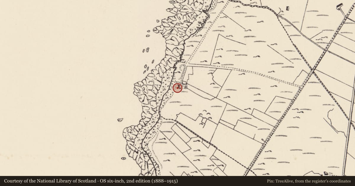 Ordnance Survey six-inch map, 2nd edition (1888–1915) covering the location of Prehistoric site - lithic scatter, Urrismenagh, County Donegal, with a pin at the register's coordinates