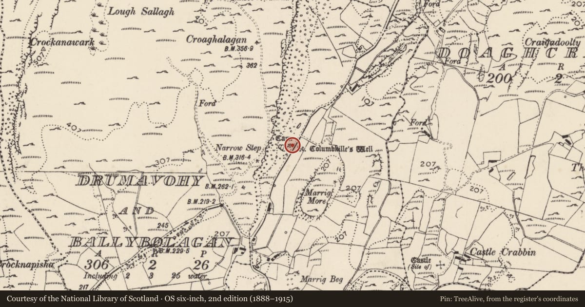 Ordnance Survey six-inch map, 2nd edition (1888–1915) covering the location of Cairn - unclassified, Carryblagh, County Donegal, with a pin at the register's coordinates