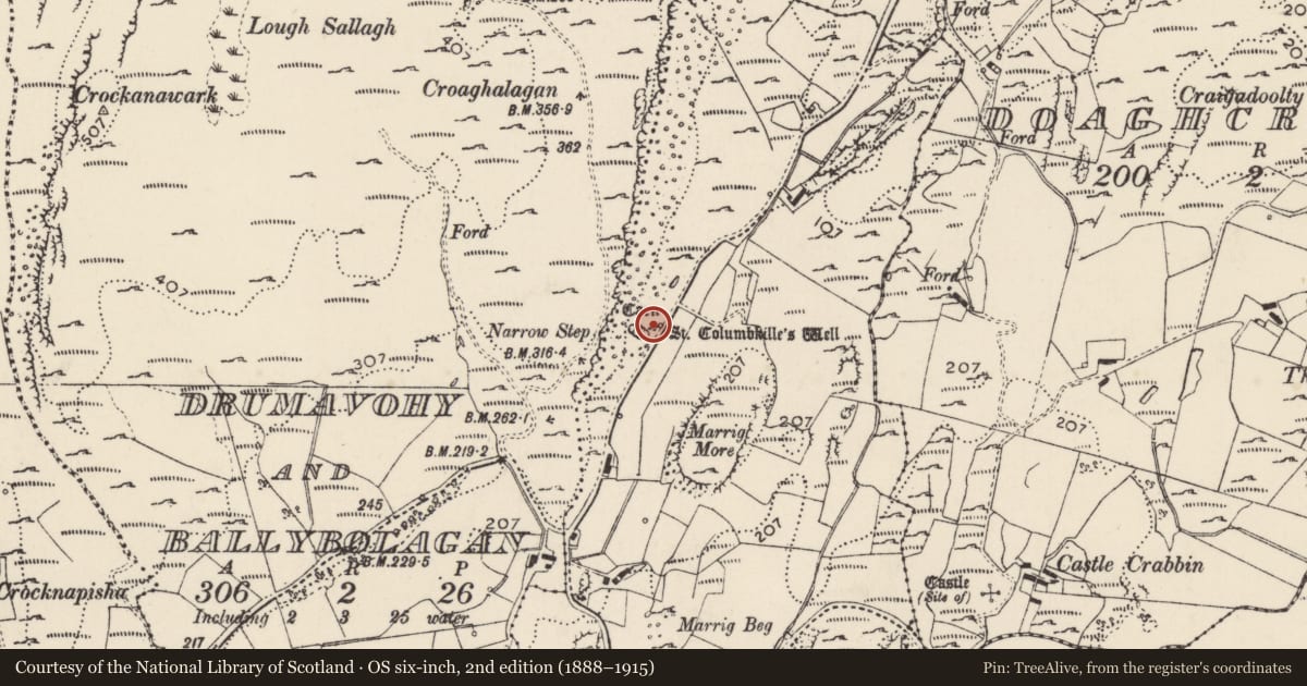 Ordnance Survey six-inch map, 2nd edition (1888–1915) covering the location of Ritual site - holy well, Carryblagh, County Donegal, with a pin at the register's coordinates