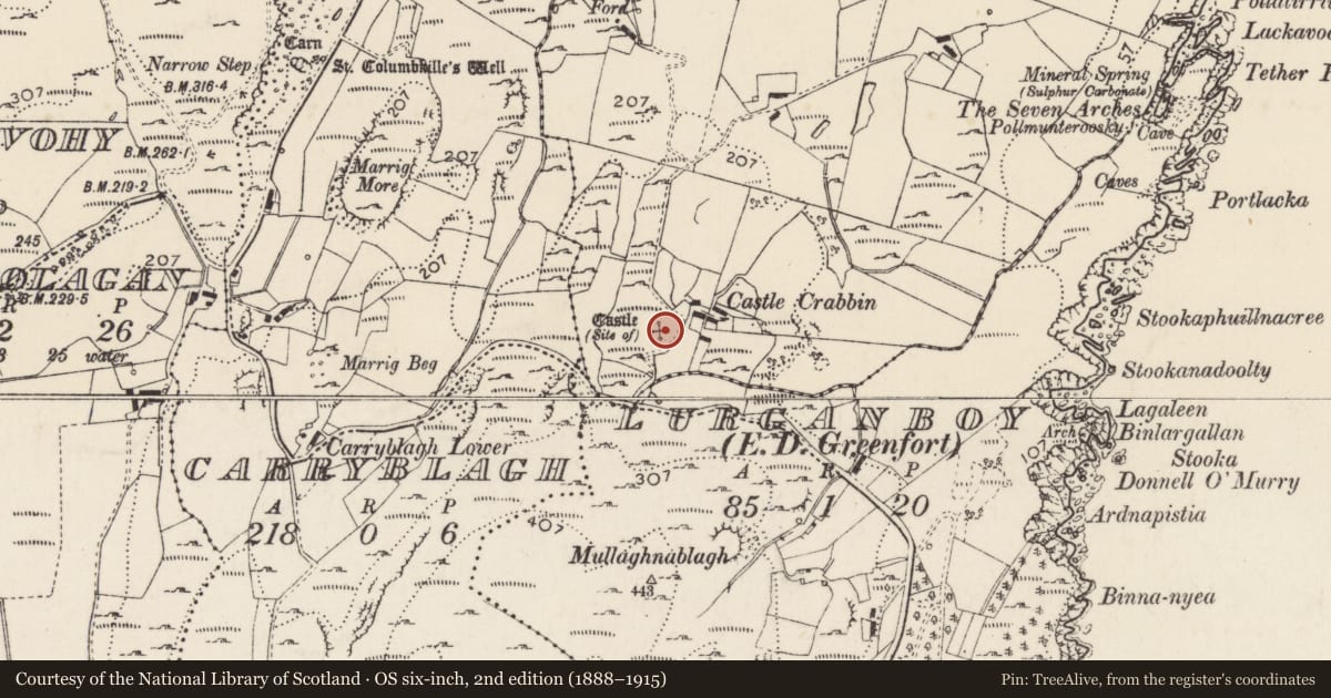 Ordnance Survey six-inch map, 2nd edition (1888–1915) covering the location of Castle - unclassified, Doaghcrabbin, County Donegal, with a pin at the register's coordinates