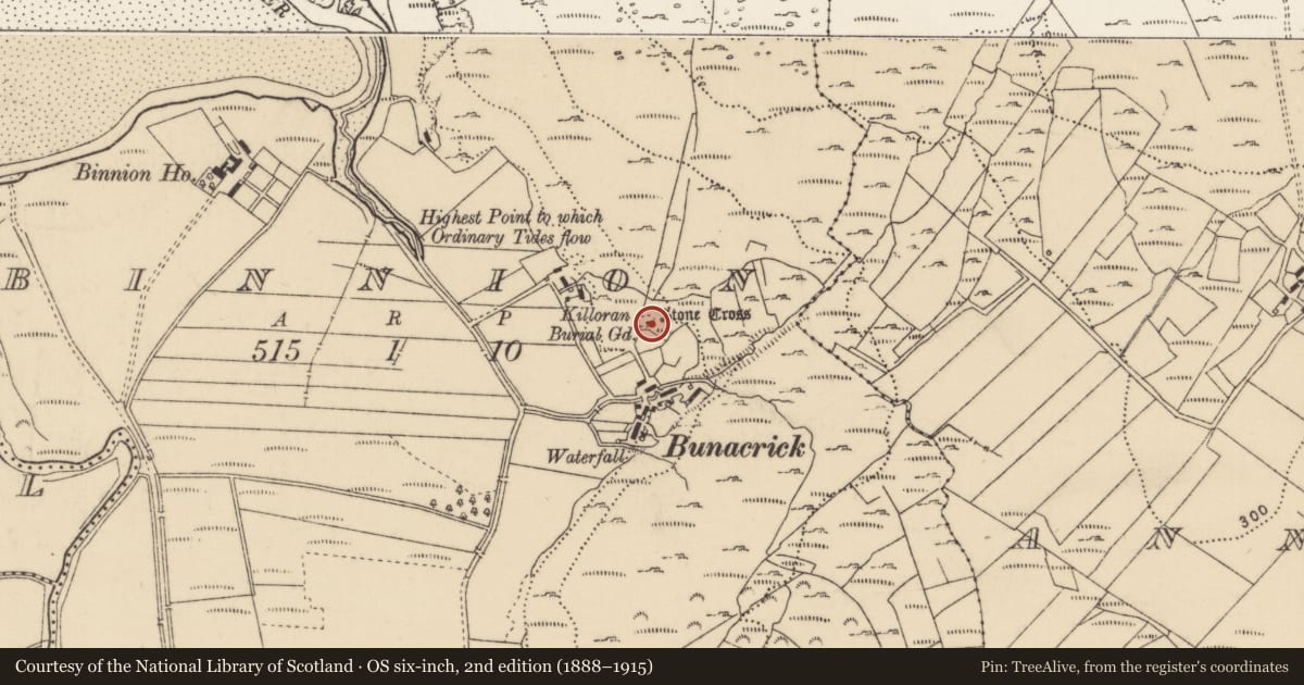 Ordnance Survey six-inch map, 2nd edition (1888–1915) covering the location of Church, Binnion, County Donegal, with a pin at the register's coordinates
