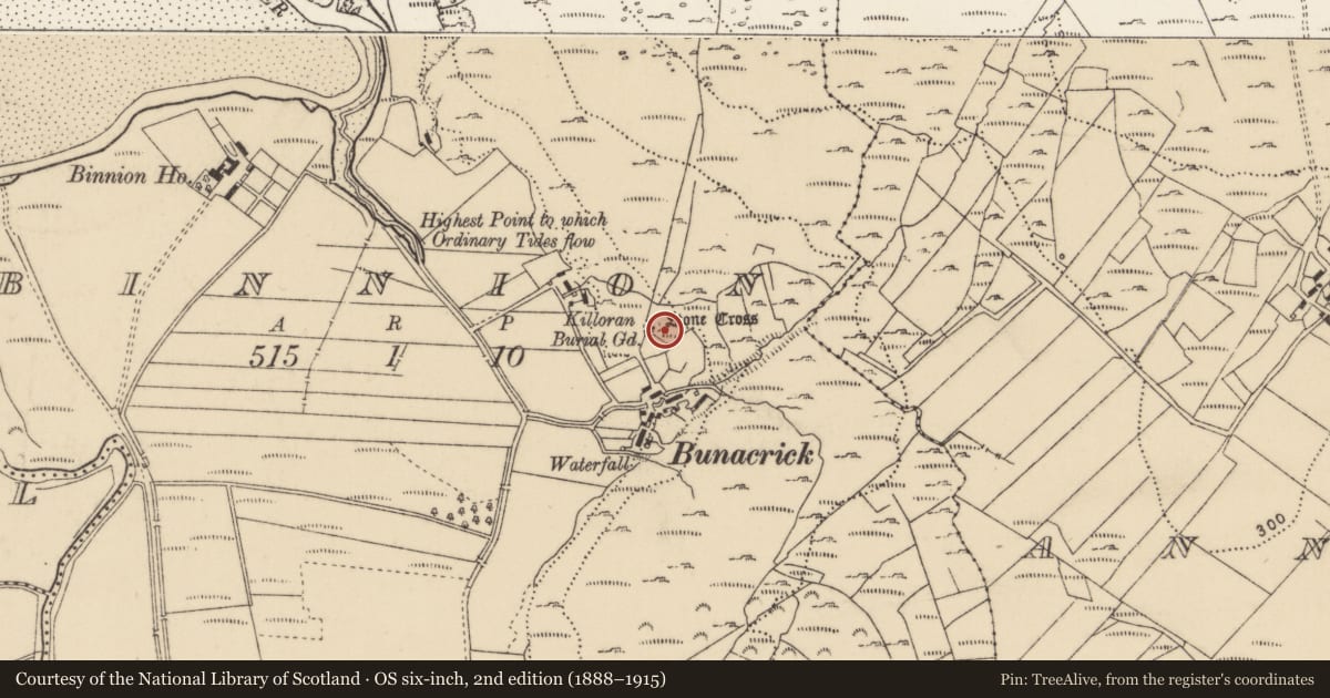 Ordnance Survey six-inch map, 2nd edition (1888–1915) covering the location of Cross, Binnion, County Donegal, with a pin at the register's coordinates