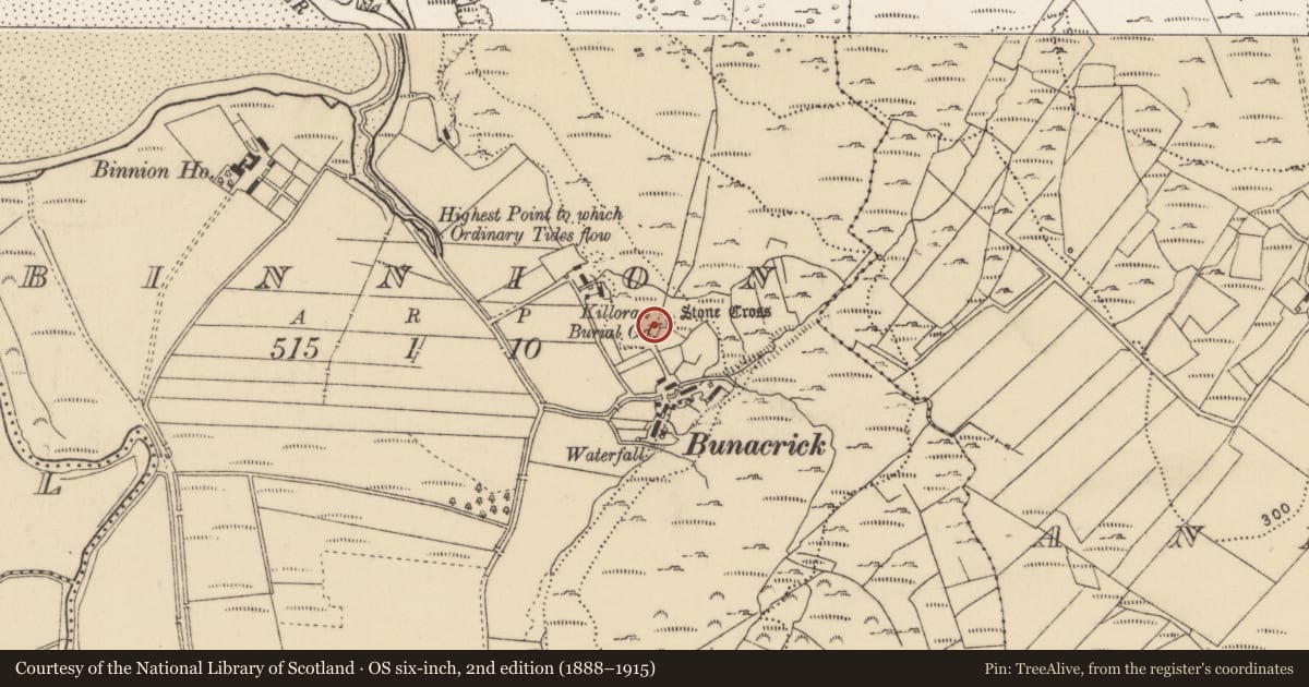 Ordnance Survey six-inch map, 2nd edition (1888–1915) covering the location of Structure, Binnion, County Donegal, with a pin at the register's coordinates