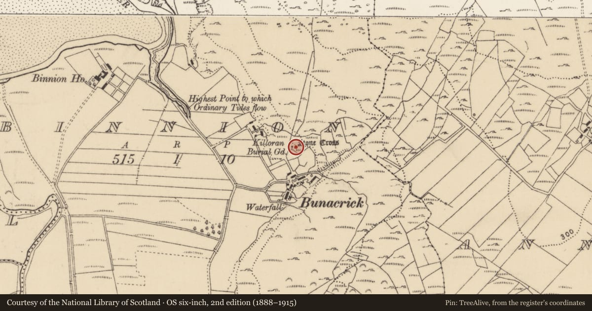 Ordnance Survey six-inch map, 2nd edition (1888–1915) covering the location of Graveyard, Binnion, County Donegal, with a pin at the register's coordinates