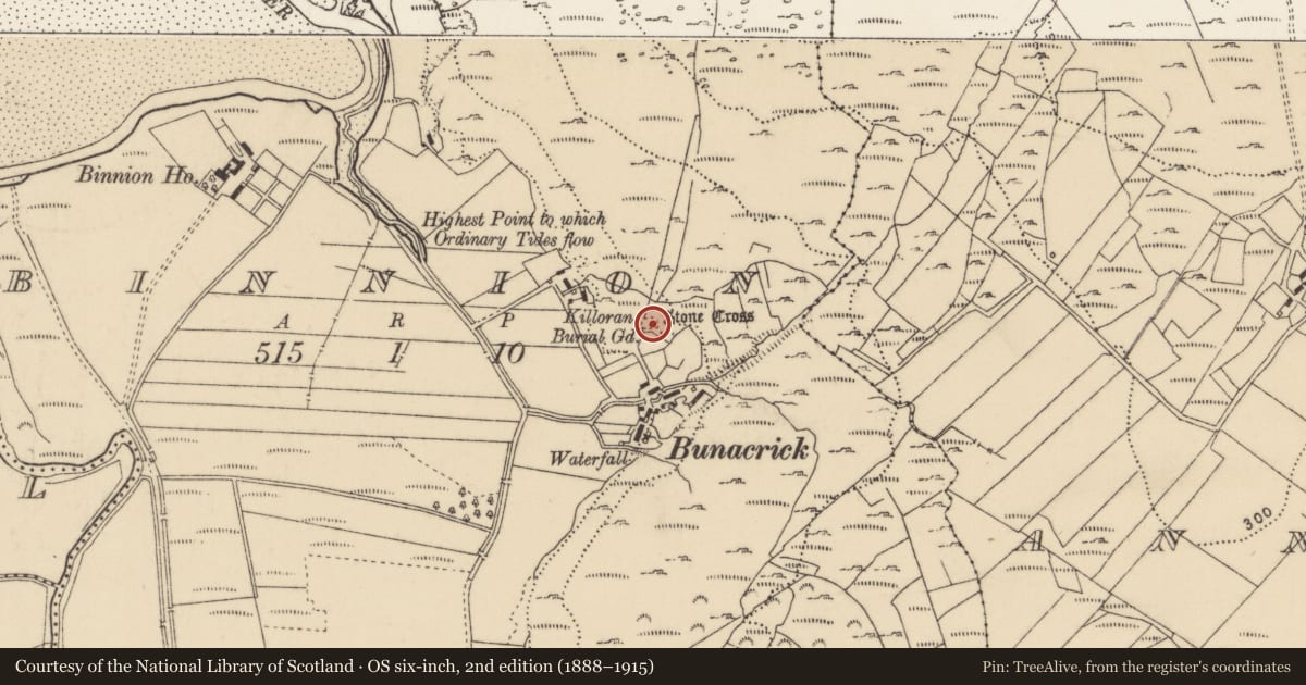Ordnance Survey six-inch map, 2nd edition (1888–1915) covering the location of Cross, Binnion, County Donegal, with a pin at the register's coordinates