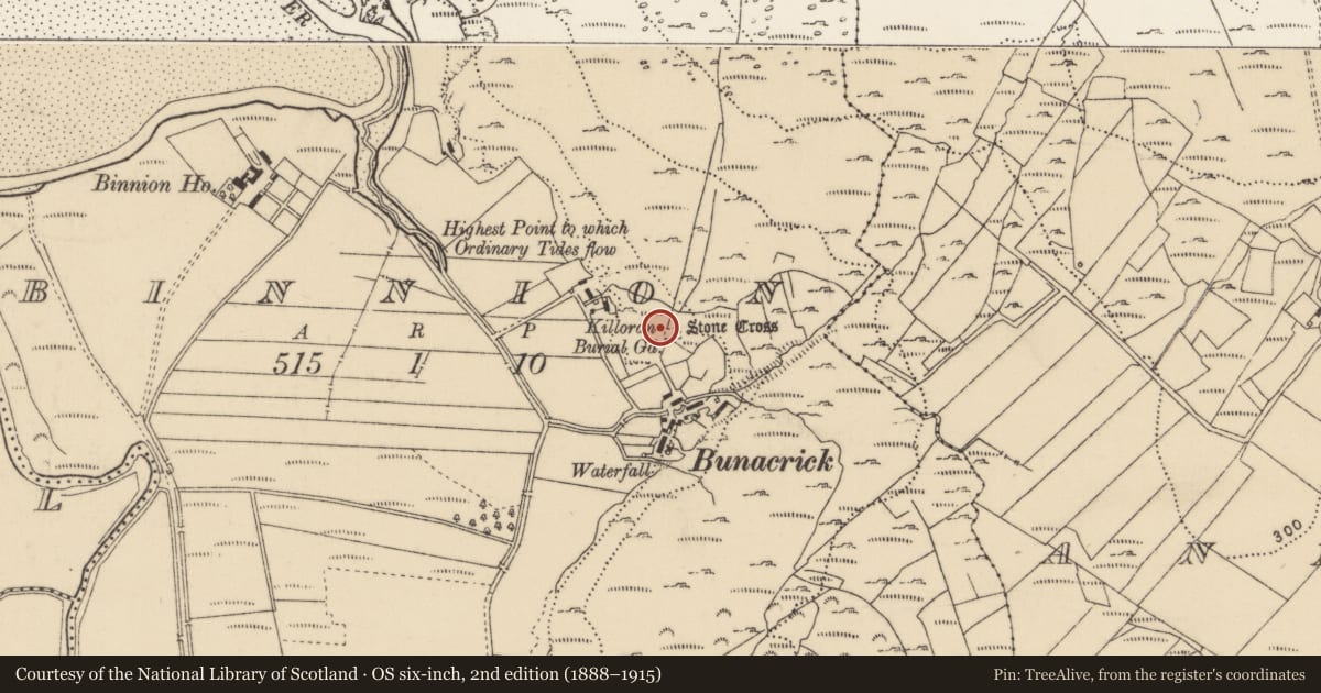 Ordnance Survey six-inch map, 2nd edition (1888–1915) covering the location of Structure, Binnion, County Donegal, with a pin at the register's coordinates