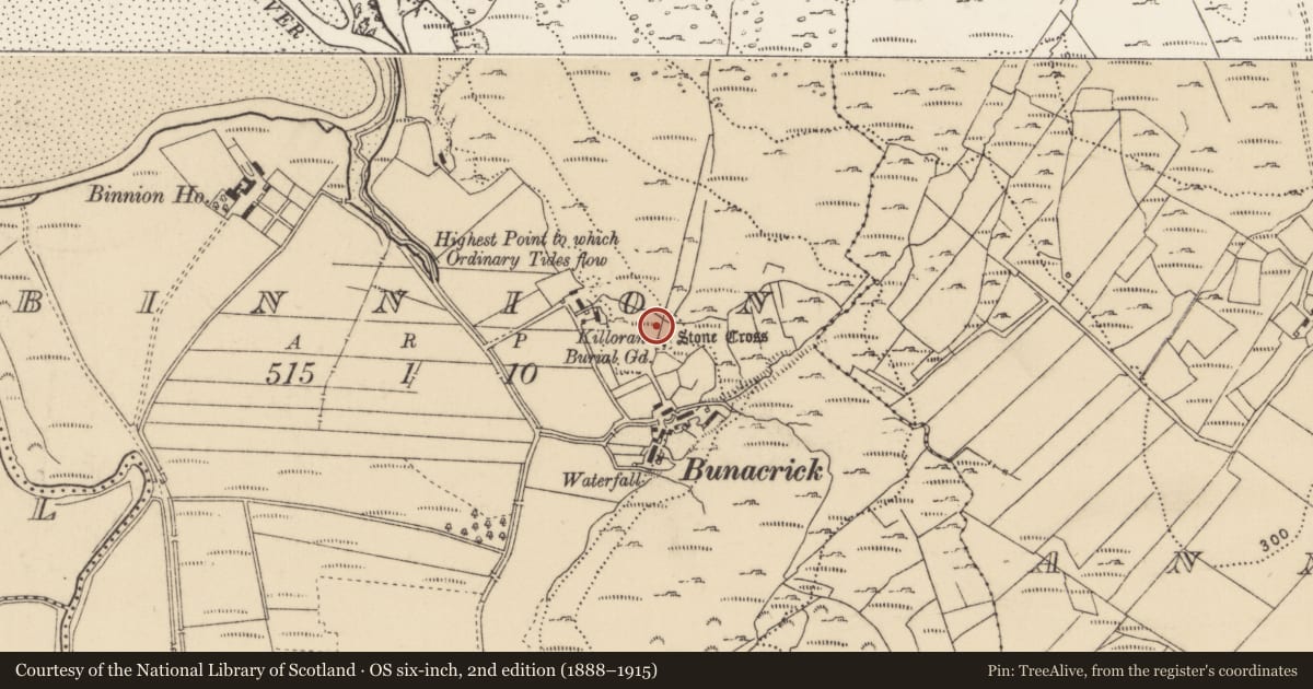 Ordnance Survey six-inch map, 2nd edition (1888–1915) covering the location of Structure, Binnion, County Donegal, with a pin at the register's coordinates