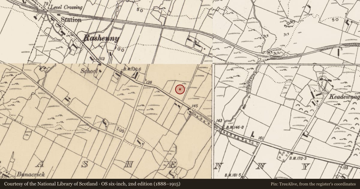 Ordnance Survey six-inch map, 2nd edition (1888–1915) covering the location of Stone row, Rashenny, County Donegal, with a pin at the register's coordinates