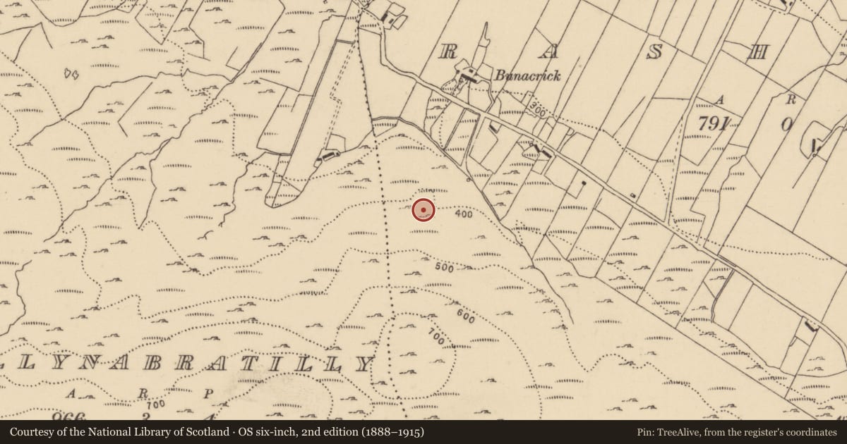 Ordnance Survey six-inch map, 2nd edition (1888–1915) covering the location of Enclosure, Rashenny, County Donegal, with a pin at the register's coordinates