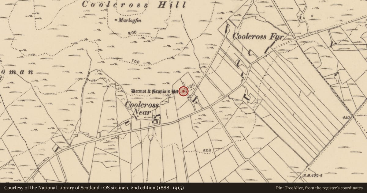 Ordnance Survey six-inch map, 2nd edition (1888–1915) covering the location of Megalithic tomb - unclassified, Tullynabratilly, County Donegal, with a pin at the register's coordinates