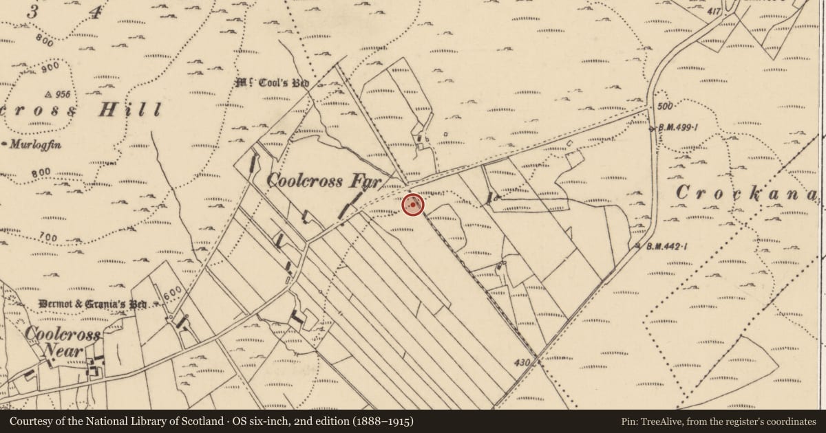 Ordnance Survey six-inch map, 2nd edition (1888–1915) covering the location of Anomalous stone group, Tullynabratilly, County Donegal, with a pin at the register's coordinates
