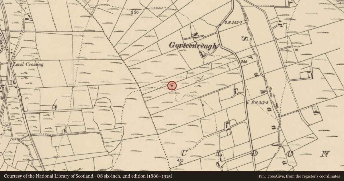 Ordnance Survey six-inch map, 2nd edition (1888–1915) covering the location of Rock art, Cloontagh, County Donegal, with a pin at the register's coordinates