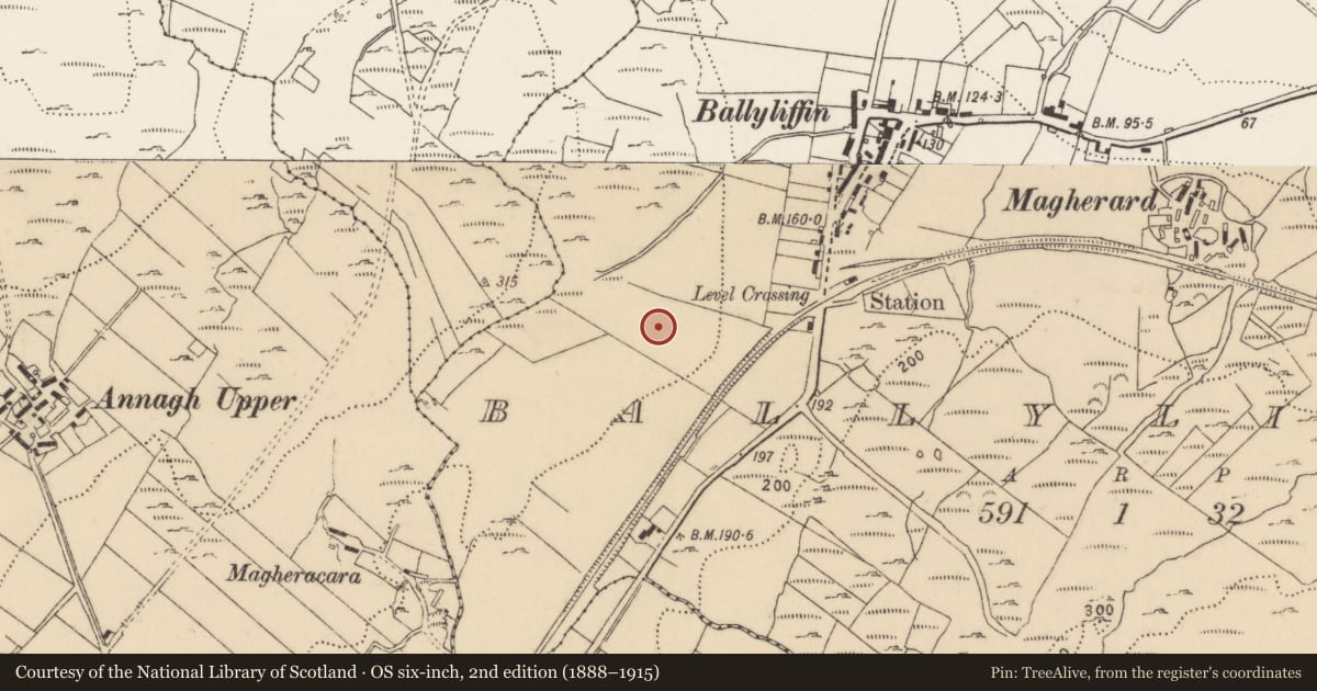 Ordnance Survey six-inch map, 2nd edition (1888–1915) covering the location of Souterrain, Ballyliffin, County Donegal, with a pin at the register's coordinates