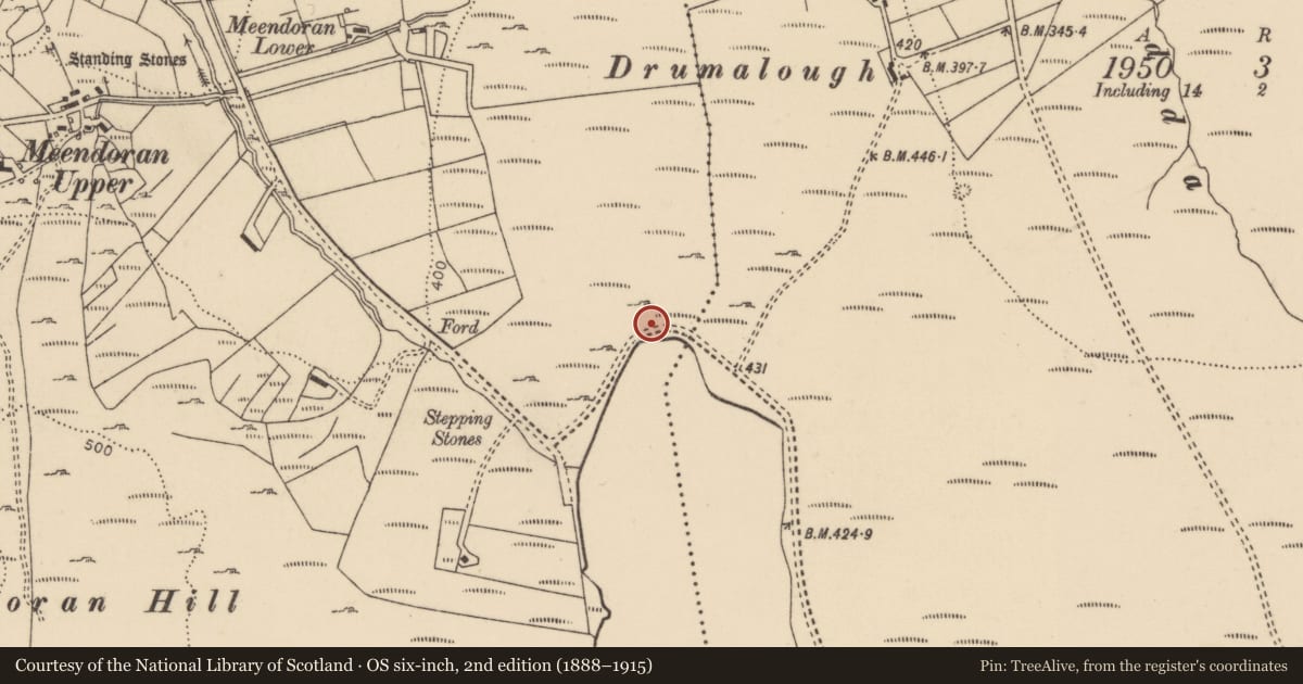 Ordnance Survey six-inch map, 2nd edition (1888–1915) covering the location of Rock art, Meendoran, County Donegal, with a pin at the register's coordinates