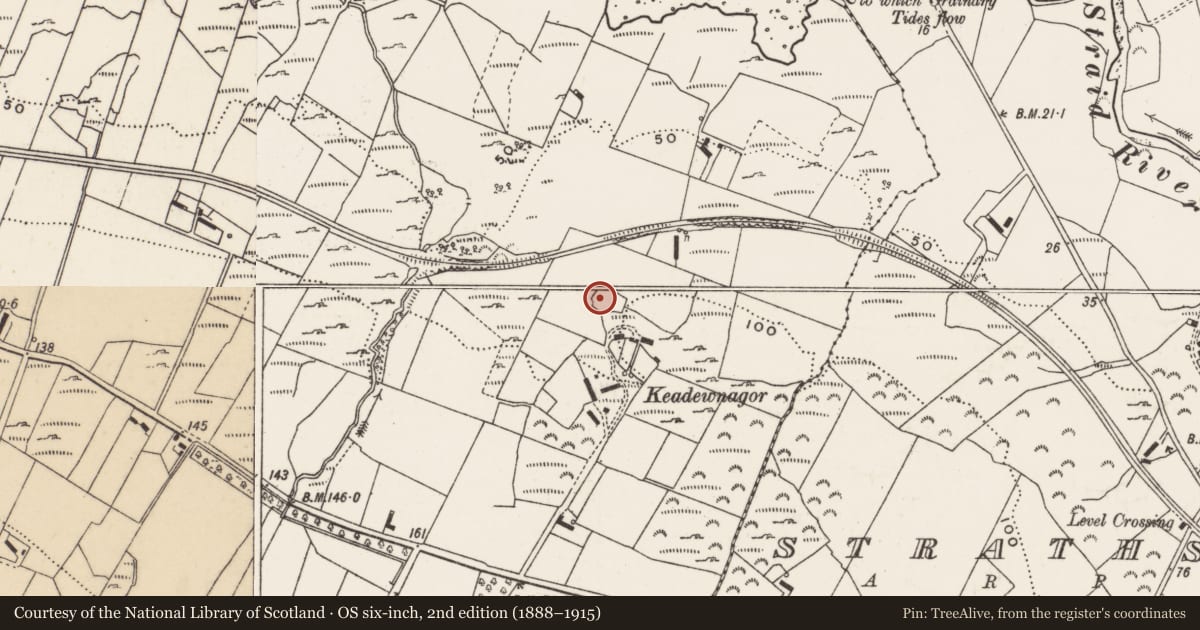Ordnance Survey six-inch map, 2nd edition (1888–1915) covering the location of Ringfort - rath, Rashenny, County Donegal, with a pin at the register's coordinates