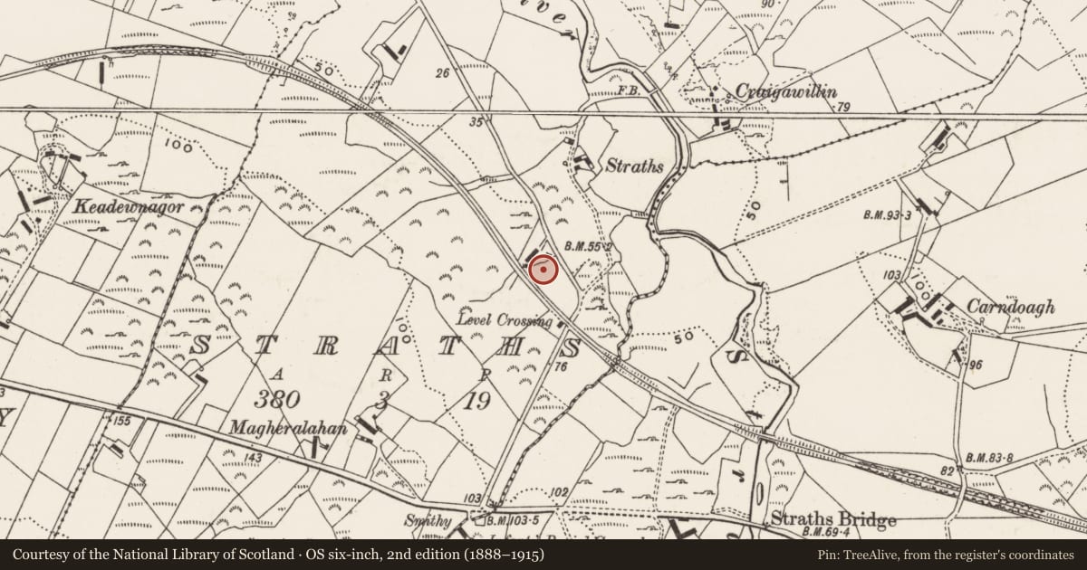 Ordnance Survey six-inch map, 2nd edition (1888–1915) covering the location of Standing stone, Straths, County Donegal, with a pin at the register's coordinates