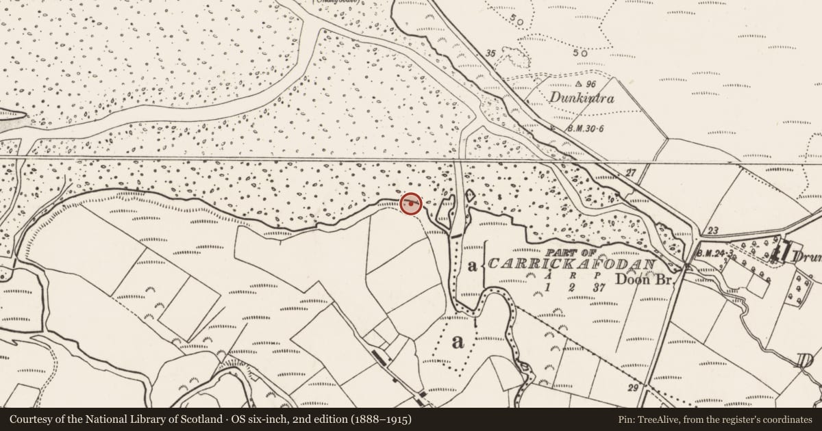 Ordnance Survey six-inch map, 2nd edition (1888–1915) covering the location of Standing stone, Churchland Quarters, County Donegal, with a pin at the register's coordinates