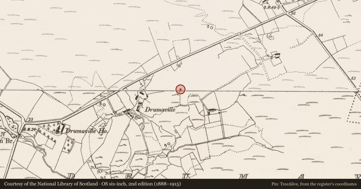 Ordnance Survey six-inch map, 2nd edition (1888–1915) covering the location of Ringfort - rath, Drumaville, County Donegal, with a pin at the register's coordinates