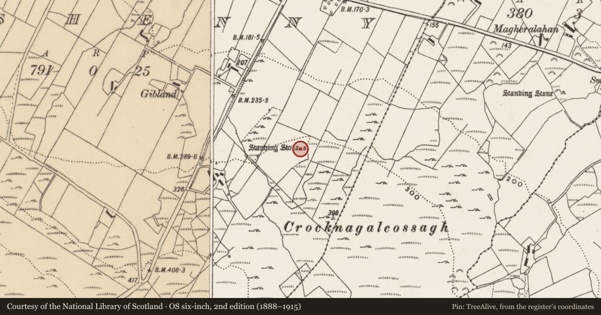 Ordnance Survey six-inch map, 2nd edition (1888–1915) covering the location of Rock art, Rashenny, County Donegal, with a pin at the register's coordinates