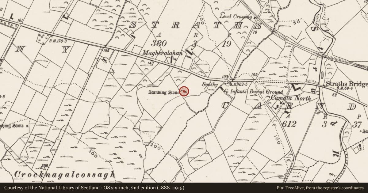 Ordnance Survey six-inch map, 2nd edition (1888–1915) covering the location of Stone row, Straths, County Donegal, with a pin at the register's coordinates