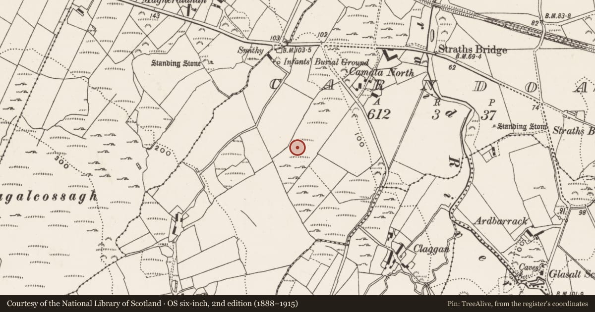 Ordnance Survey six-inch map, 2nd edition (1888–1915) covering the location of Ringfort - unclassified, Carndoagh, County Donegal, with a pin at the register's coordinates