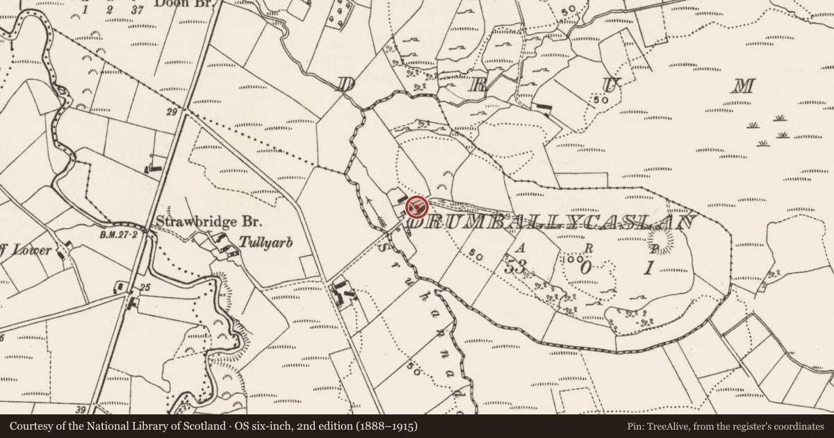 Ordnance Survey six-inch map, 2nd edition (1888–1915) covering the location of Bullaun stone, Drumballycaslan, County Donegal, with a pin at the register's coordinates