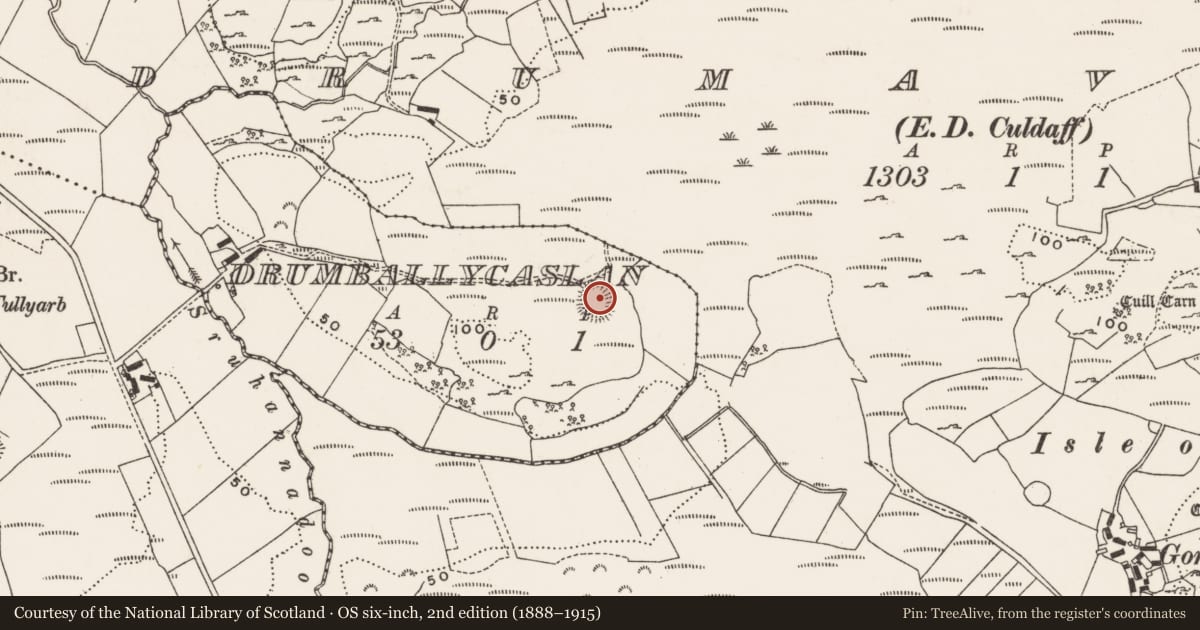 Ordnance Survey six-inch map, 2nd edition (1888–1915) covering the location of Ringfort - cashel, Drumballycaslan, County Donegal, with a pin at the register's coordinates