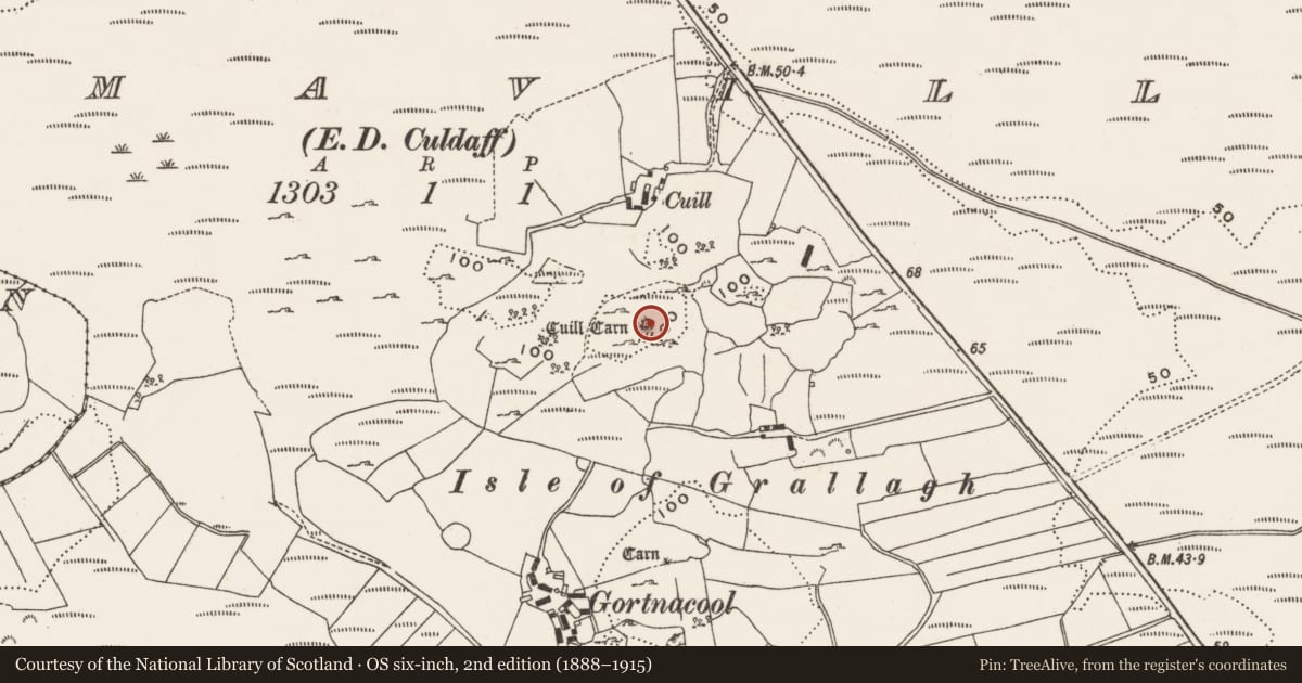 Ordnance Survey six-inch map, 2nd edition (1888–1915) covering the location of Cairn - unclassified, Drumaville, County Donegal, with a pin at the register's coordinates