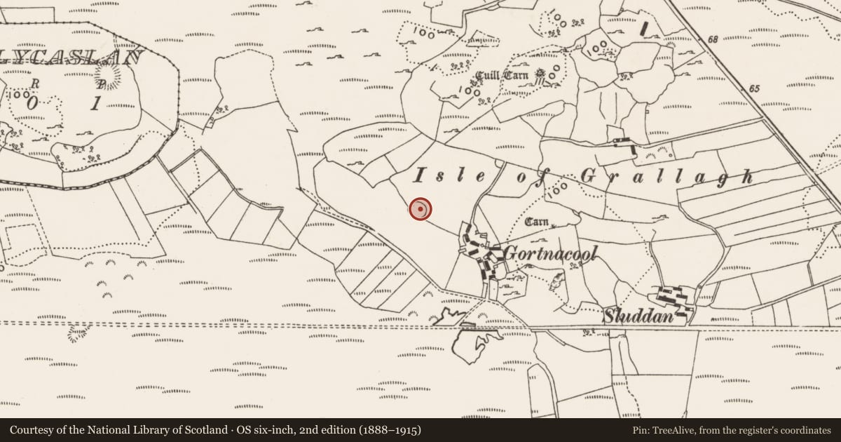 Ordnance Survey six-inch map, 2nd edition (1888–1915) covering the location of Ringfort - cashel, Drumaville, County Donegal, with a pin at the register's coordinates