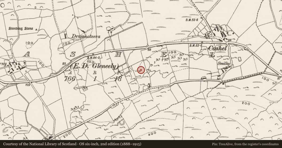 Ordnance Survey six-inch map, 2nd edition (1888–1915) covering the location of Children's burial ground, Cashel, County Donegal, with a pin at the register's coordinates