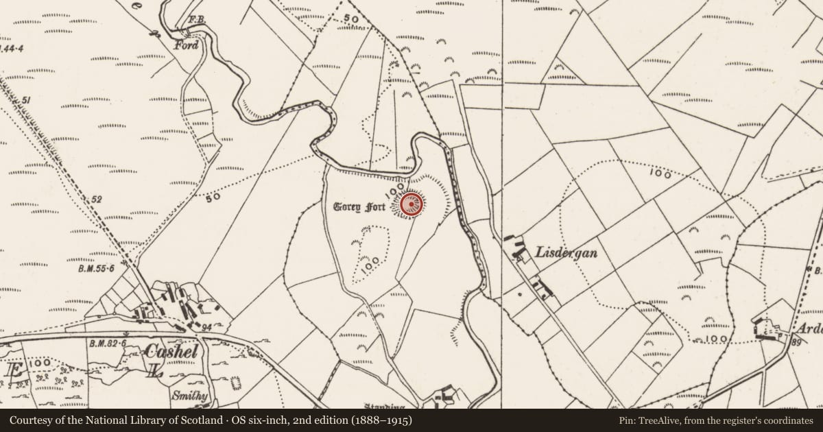 Ordnance Survey six-inch map, 2nd edition (1888–1915) covering the location of Ringfort - rath, Carrowmore, County Donegal, with a pin at the register's coordinates