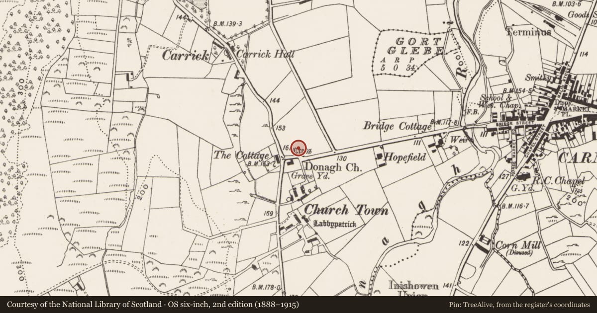 Ordnance Survey six-inch map, 2nd edition (1888–1915) covering the location of Stone sculpture, Churchland Quarters, County Donegal, with a pin at the register's coordinates