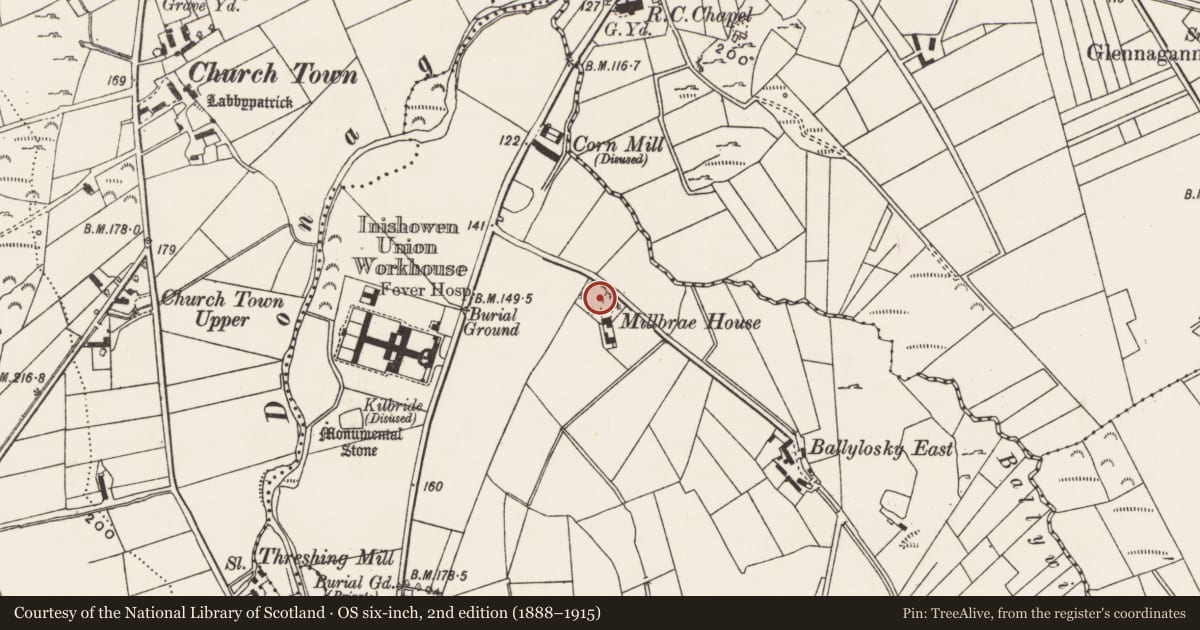Ordnance Survey six-inch map, 2nd edition (1888–1915) covering the location of Ringfort - rath, Ballylosky, County Donegal, with a pin at the register's coordinates