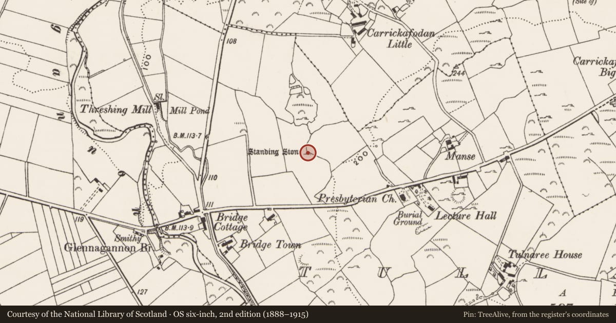 Ordnance Survey six-inch map, 2nd edition (1888–1915) covering the location of Standing stone, Tullanree, County Donegal, with a pin at the register's coordinates