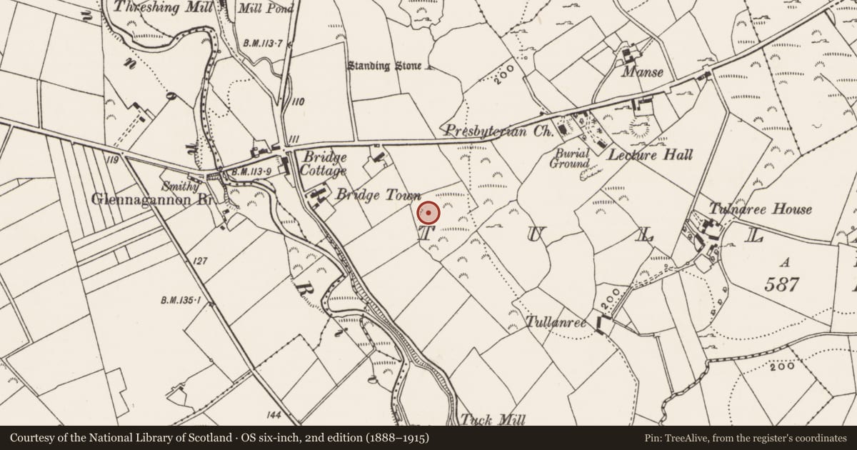 Ordnance Survey six-inch map, 2nd edition (1888–1915) covering the location of Ringfort - unclassified, Tullanree, County Donegal, with a pin at the register's coordinates