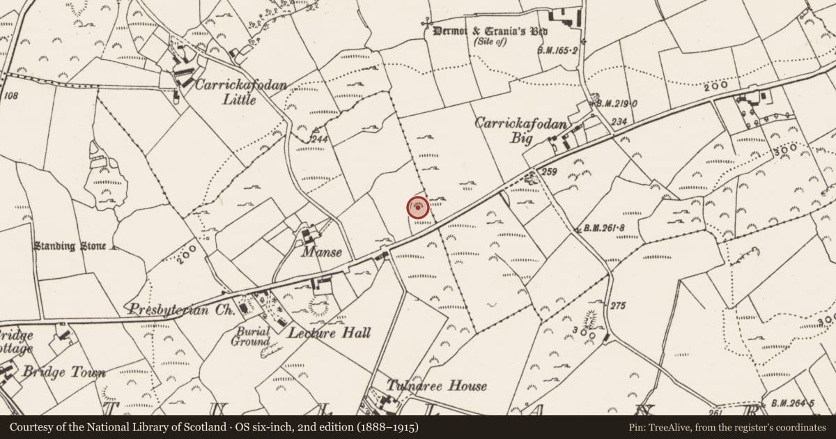 Ordnance Survey six-inch map, 2nd edition (1888–1915) covering the location of Hut site, Tullanree, County Donegal, with a pin at the register's coordinates