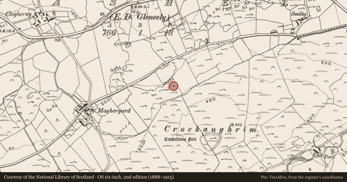 Ordnance Survey six-inch map, 2nd edition (1888–1915) covering the location of Ringfort - rath, Cashel, County Donegal, with a pin at the register's coordinates