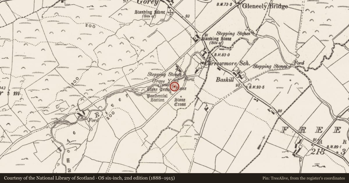 Ordnance Survey six-inch map, 2nd edition (1888–1915) covering the location of Cross - High cross, Carrowmore, County Donegal, with a pin at the register's coordinates