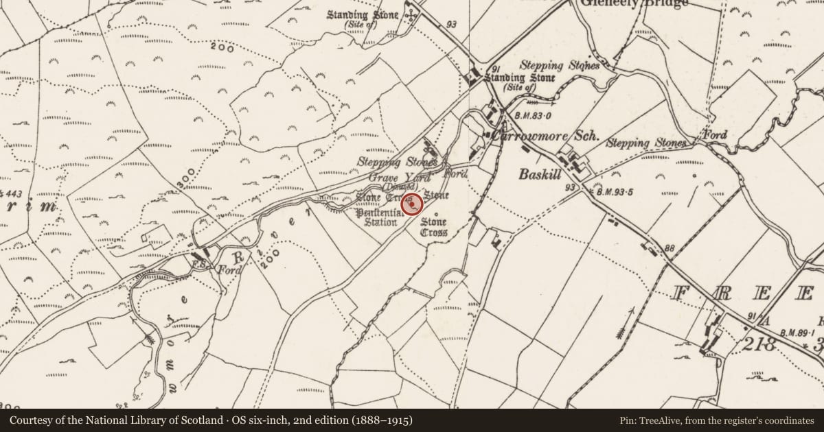 Ordnance Survey six-inch map, 2nd edition (1888–1915) covering the location of Cross - High cross, Carrowmore, County Donegal, with a pin at the register's coordinates