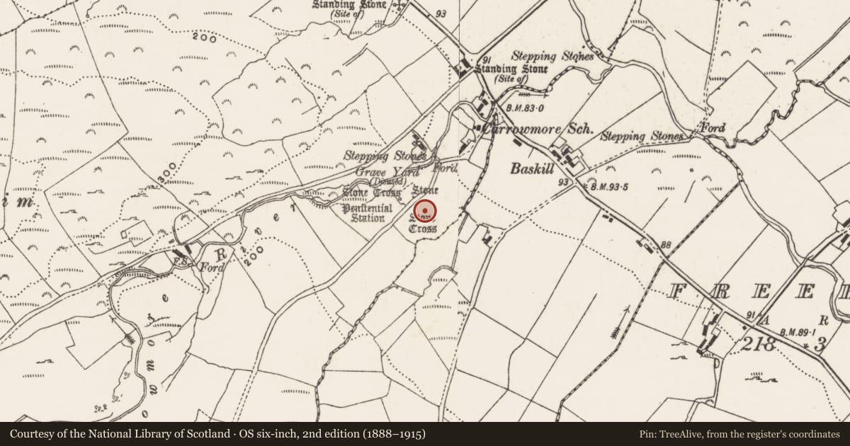 Ordnance Survey six-inch map, 2nd edition (1888–1915) covering the location of Cross - High cross, Carrowmore, County Donegal, with a pin at the register's coordinates