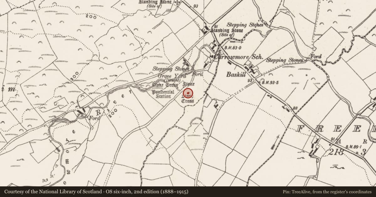 Ordnance Survey six-inch map, 2nd edition (1888–1915) covering the location of Penitential station, Carrowmore, County Donegal, with a pin at the register's coordinates