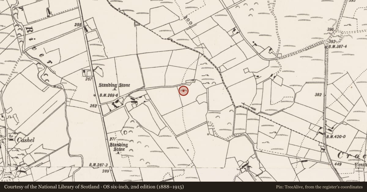 Ordnance Survey six-inch map, 2nd edition (1888–1915) covering the location of Ringfort - rath, Cashel, County Donegal, with a pin at the register's coordinates