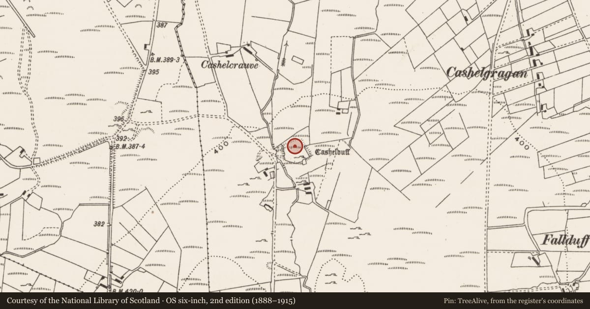 Ordnance Survey six-inch map, 2nd edition (1888–1915) covering the location of Ringfort - cashel, An Cheathrú Riabhach (TC Gleann Ó gCeanann), County Donegal, with a pin at the register's coordinates