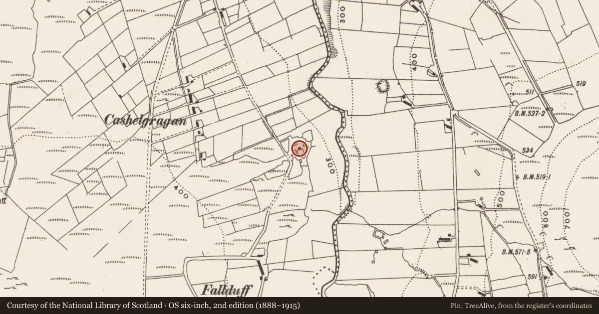 Ordnance Survey six-inch map, 2nd edition (1888–1915) covering the location of Ringfort - cashel, An Cheathrú Riabhach (TC Gleann Ó gCeanann), County Donegal, with a pin at the register's coordinates