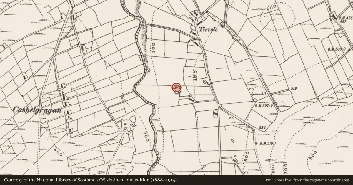 Ordnance Survey six-inch map, 2nd edition (1888–1915) covering the location of Ringfort - unclassified, MacHaire Dromann (TC Fánaid Thuaidh), County Donegal, with a pin at the register's coordinates